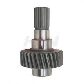 OEM 10401280 PINION GEAR 30Z SCHWING 