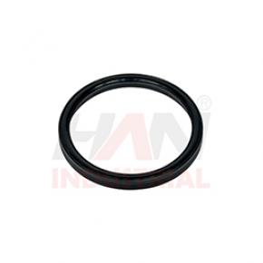 LIP-SEAL-RING OEM 062954000