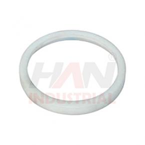 PISTON-GUIDE-RING OEM 259757007