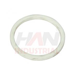 PISTON-GUIDE-RING OEM 259758006